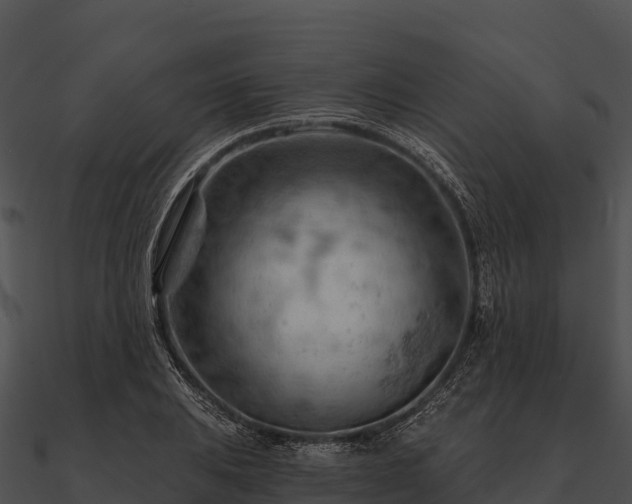 X0000090891031200708031048