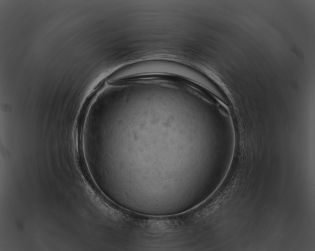 X0000090891032200708031048