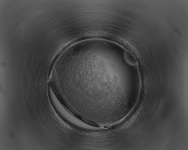 X0000090891033200708031048