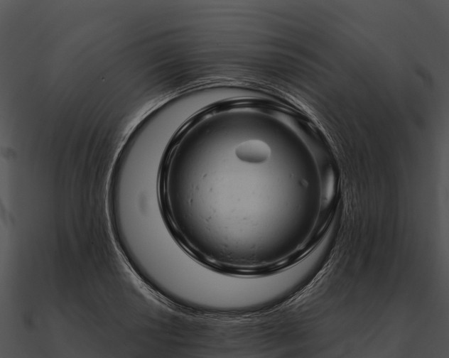 X0000090891034200708031048