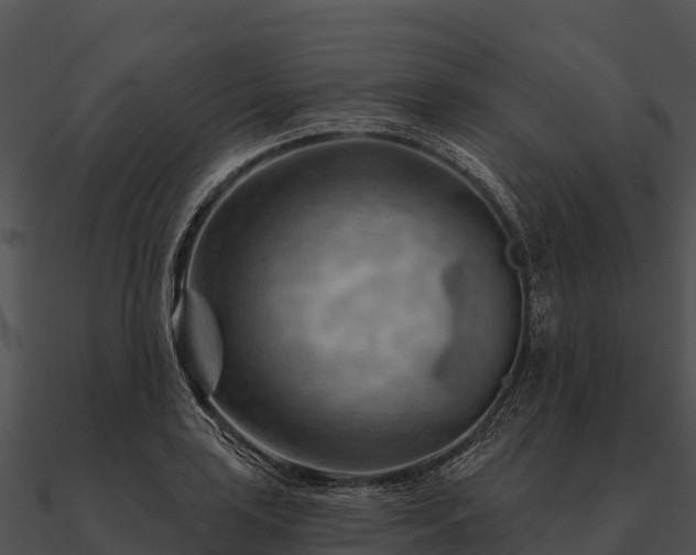 X0000090891035200708031048