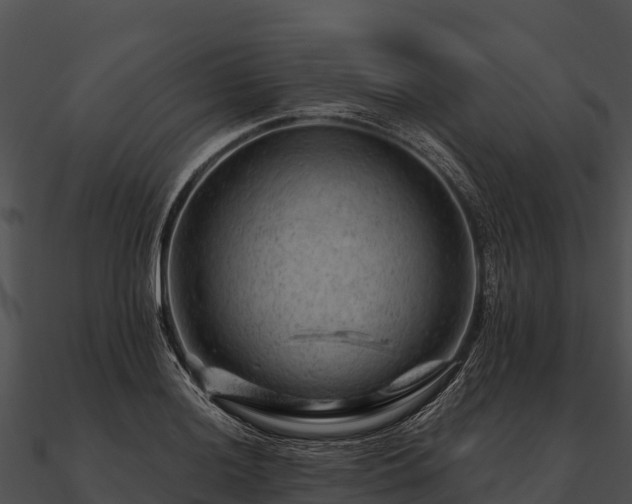 X0000090891036200708031048