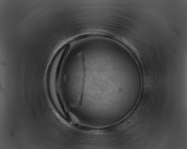 X0000090891037200708031048