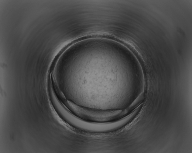 X0000090891038200708031048