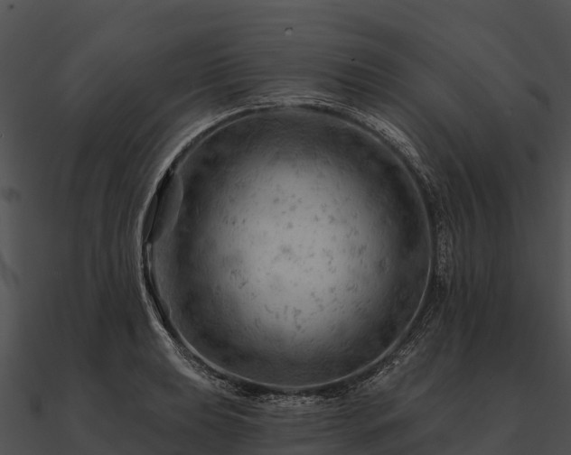 X0000090891039200708031048