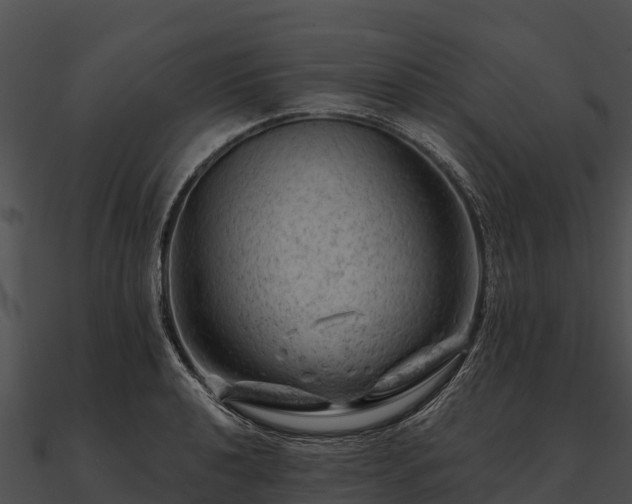 X0000090891040200708031048