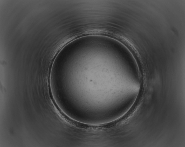 X0000090891041200708031048