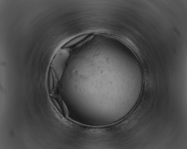 X0000090891044200708031048