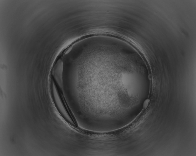 X0000090891045200708031048