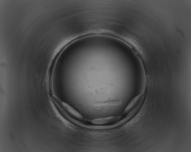 X0000090891046200708031048