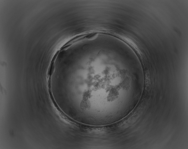 X0000090891047200708031048