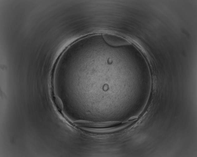 X0000090891048200708031048