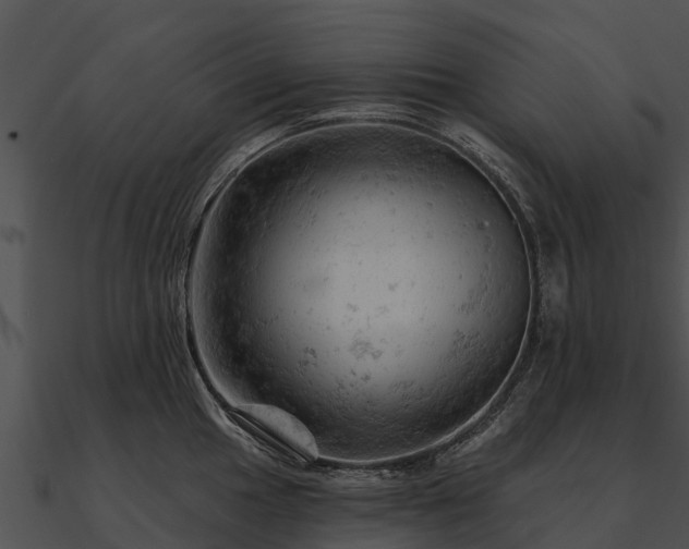 X0000090891049200708031048