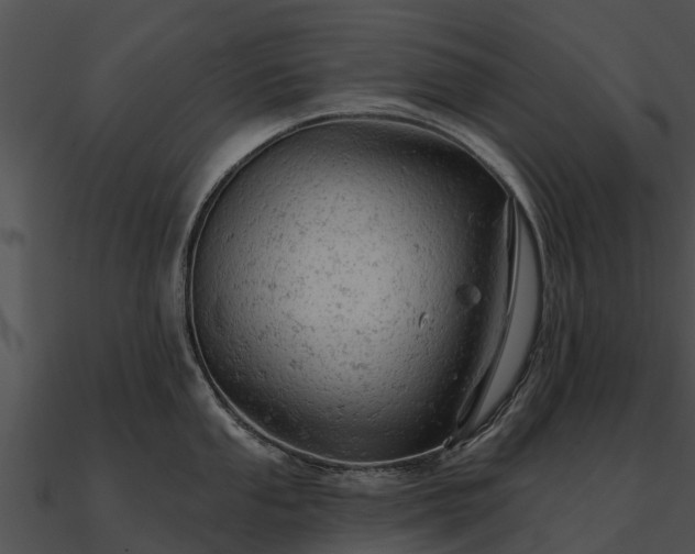 X0000090891053200708031048