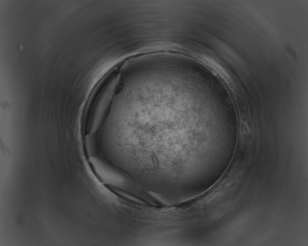 X0000090891055200708031048