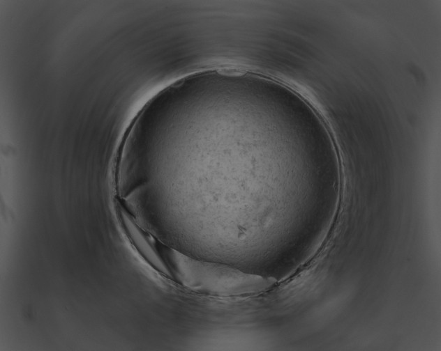 X0000090891056200708031048