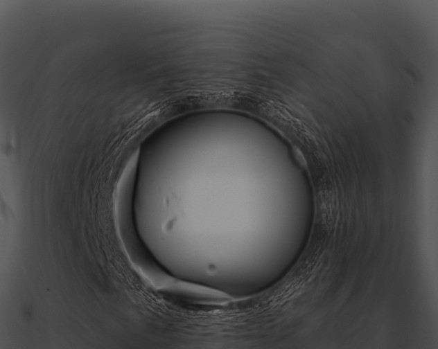 X0000090891057200708031047