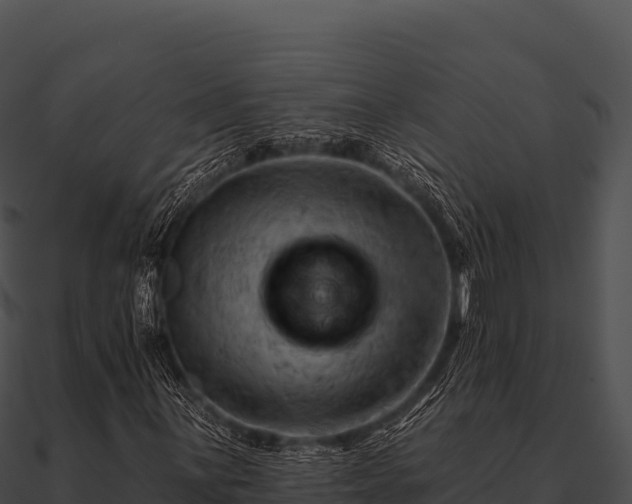 X0000090891059200708031047