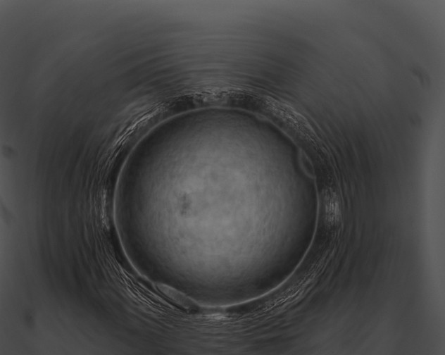 X0000090891060200708031047