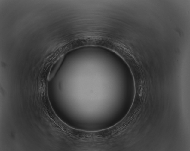 X0000090891061200708031047