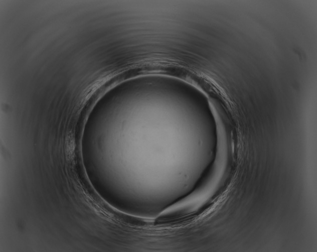 X0000090891065200708031047