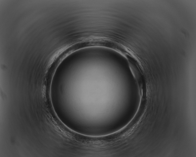 X0000090891066200708031047