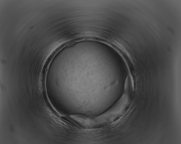 X0000090891068200708031047