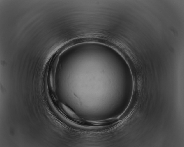 X0000090891069200708031047