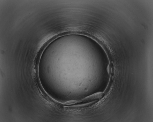 X0000090891070200708031047