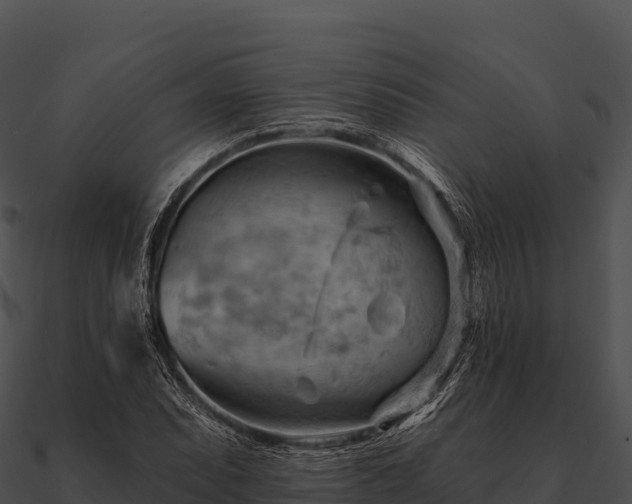 X0000090891071200708031047