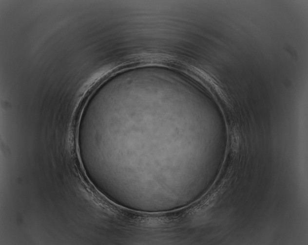 X0000090891074200708031047