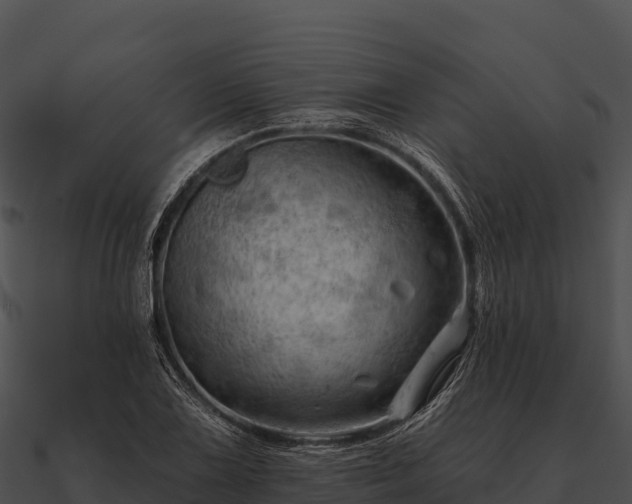 X0000090891075200708031047