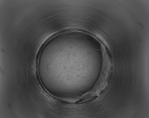 X0000090891076200708031047