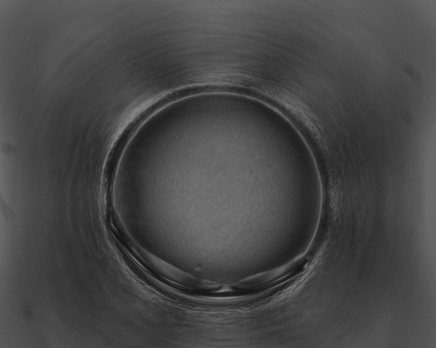 X0000090891077200708031047