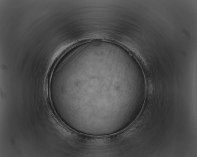 X0000090891078200708031047