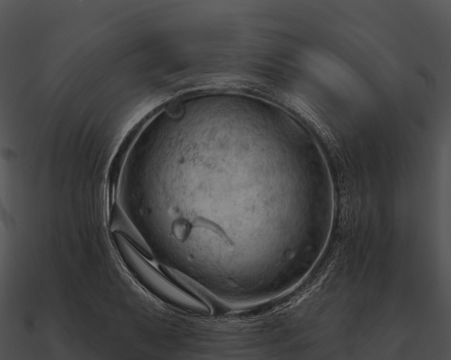 X0000090891079200708031047