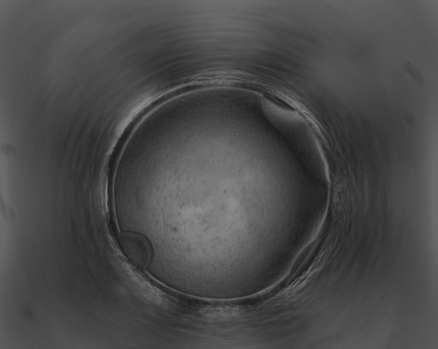 X0000090891083200708031047