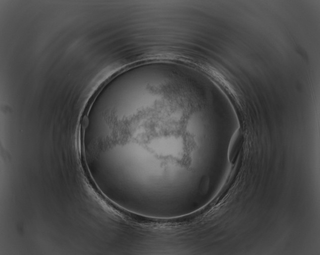 X0000090891084200708031047