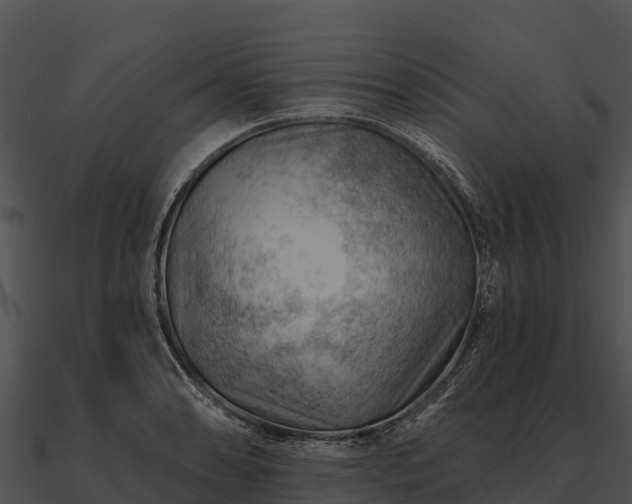 X0000090891086200708031047