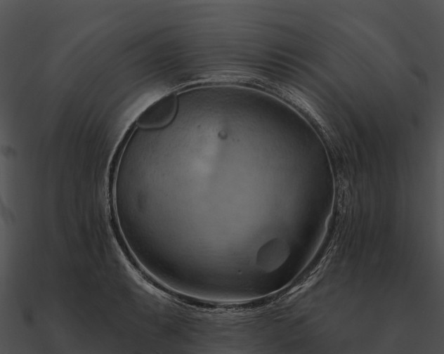 X0000090891087200708031047