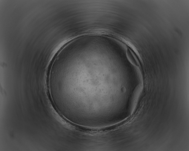 X0000090891091200708031047