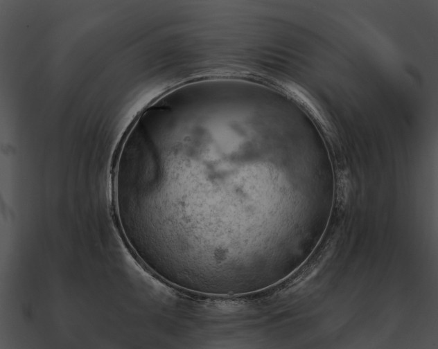 X0000090891095200708031047