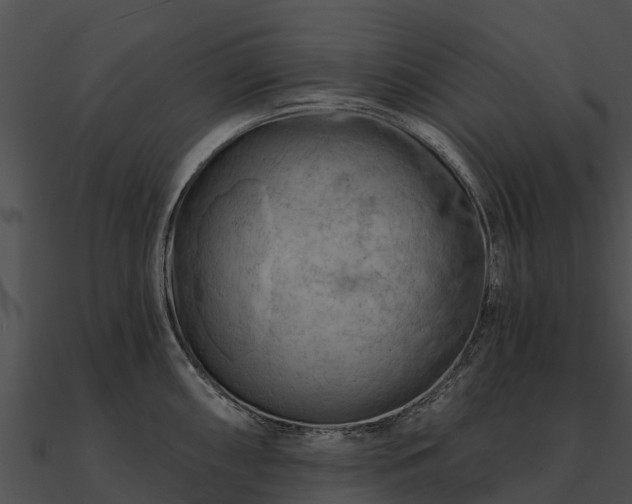 X0000090891098200708031047