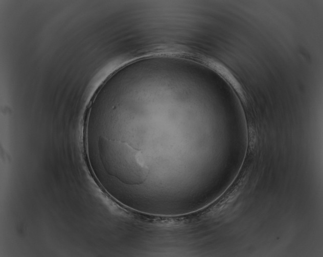 X0000090891099200708031047