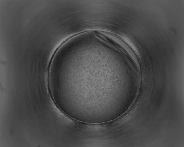 X0000090891100200708031047