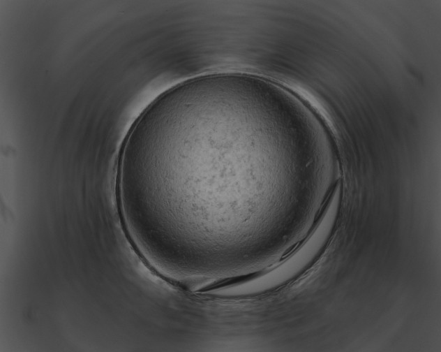 X0000090891102200708031047