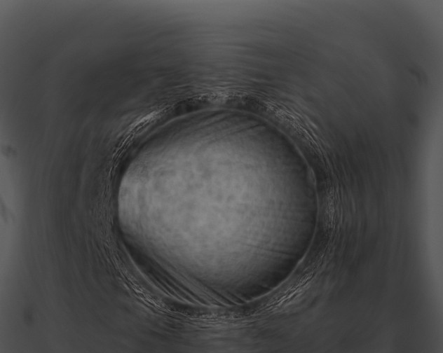 X0000090891105200708031046