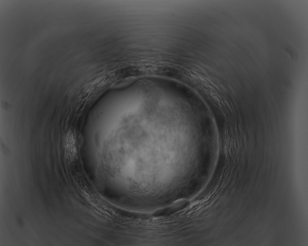 X0000090891106200708031046