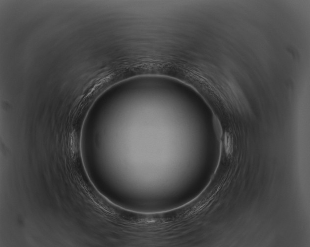 X0000090891107200708031046