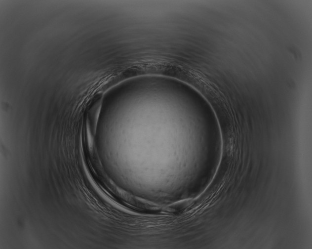 X0000090891108200708031046